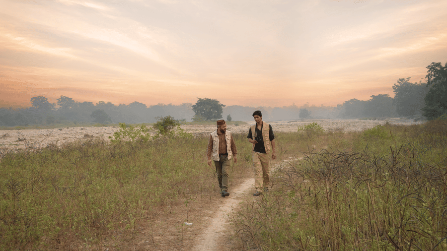 People walking on a pathway through a field at sunset  at The Golden Tusk, Jim Corbett