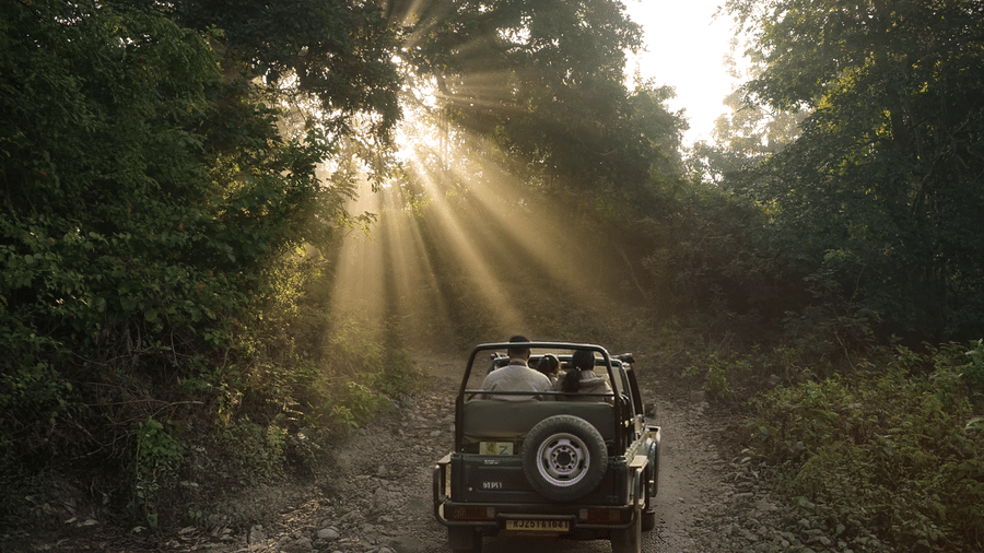  Sunlight filtering through trees in a forest, illuminating a utility vehicle on a dirt road  at The Golden Tusk, Jim Corbett