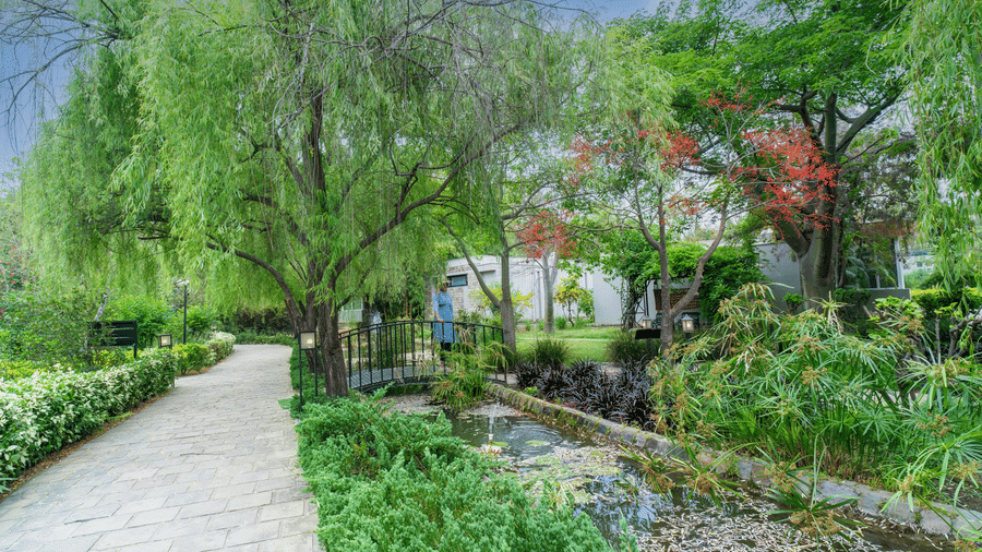  A garden path with various plants, trees at The Golden Tusk, Jim Corbett