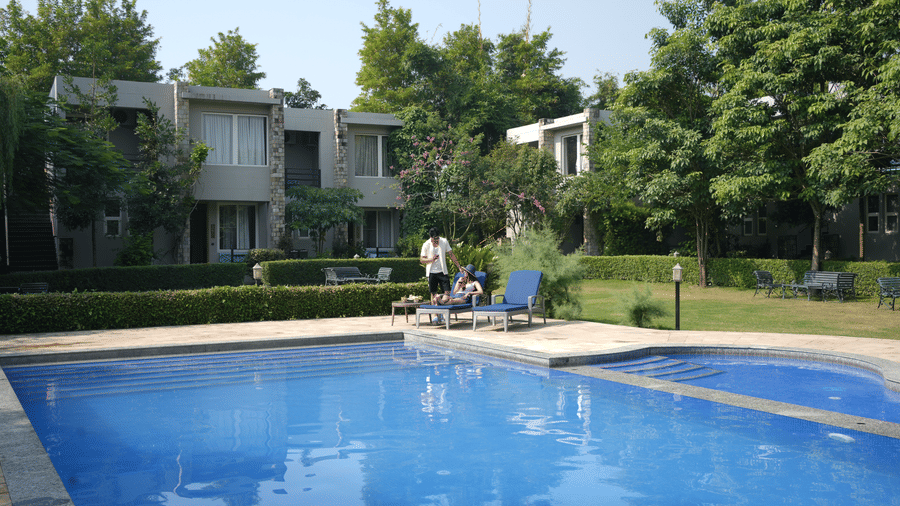 A  clear blue swimming pool surrounded by a green lawn and trees at The Golden Tusk, Jim Corbett