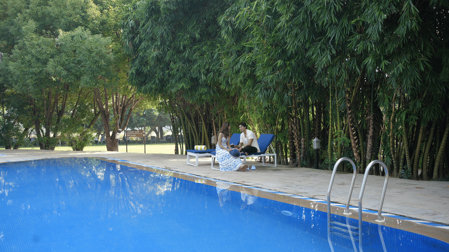swimming pool area with green trees at The Golden Tusk, Jim Corbett