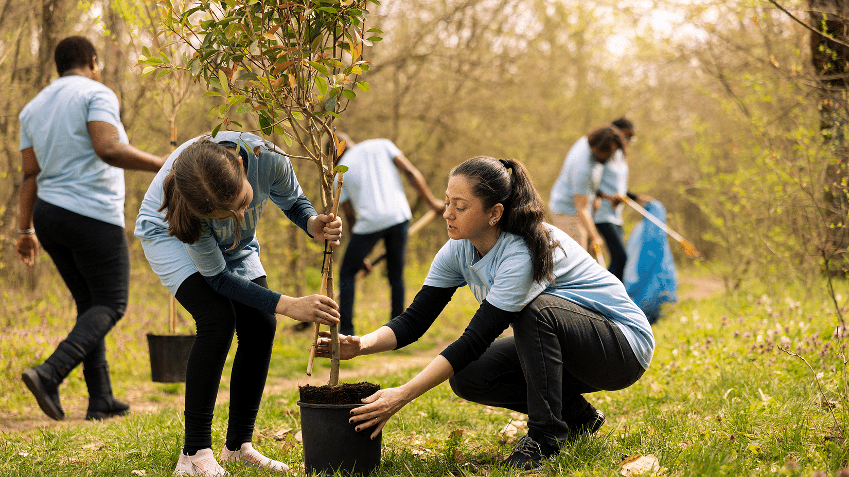 A group of people planting trees and cleaning a wooded area, wearing casual uniforms and working together outdoors.