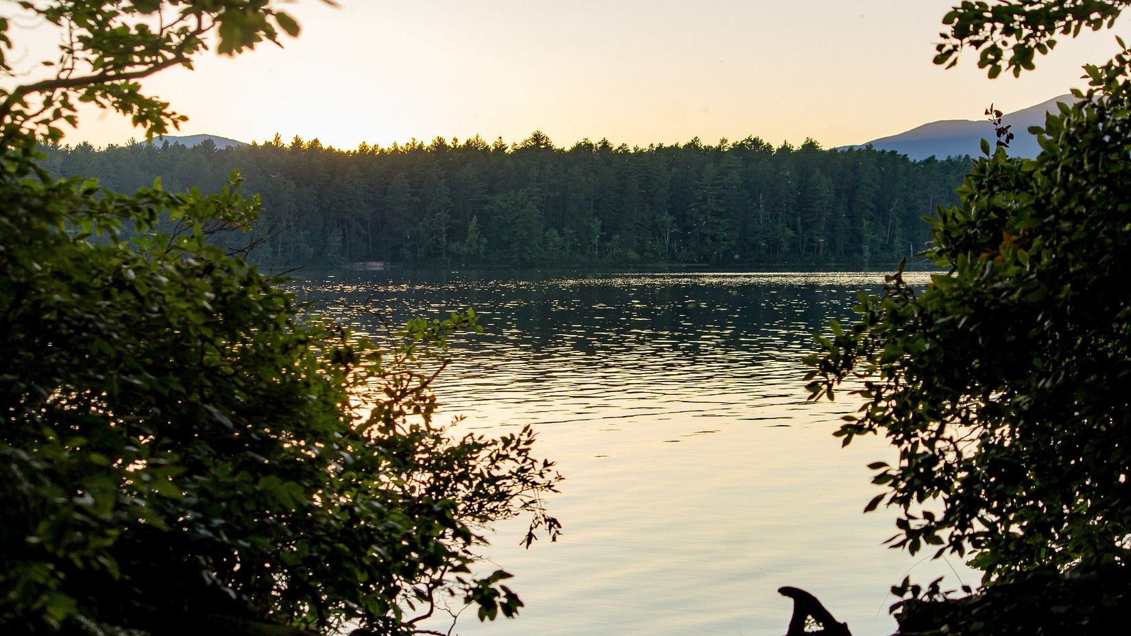 Tranquil lake surrounded by trees at sunset, with still water reflecting the golden sky and forested hills in the background, framed by leafy branches in the foreground.