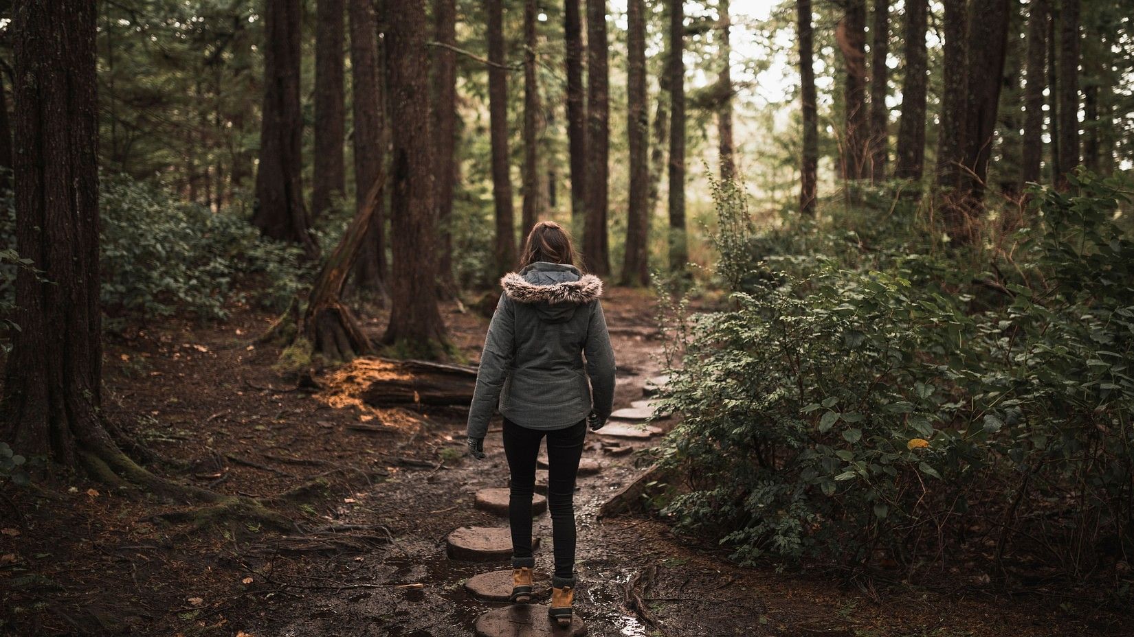 Woman walking alone on a stone path through a dense forest, surrounded by tall trees and greenery.