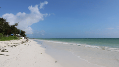 Idyllic white sand beach and azure ocean under clear skies.