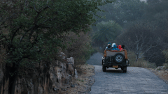 A vehicle with passengers on a narrow paved road surrounded by trees and rocky terrain, moving through a forested area.