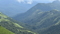 An overview of the mountains and valley in Chikmagalur with mist covering on the mountain