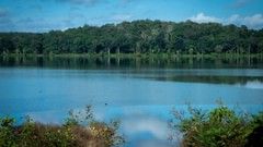 A serene picture of the Kabini lake with forest cover in the distance - The Serai Kabini.