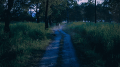 A small muddy road inside the Nagarahole Tiger Reserve