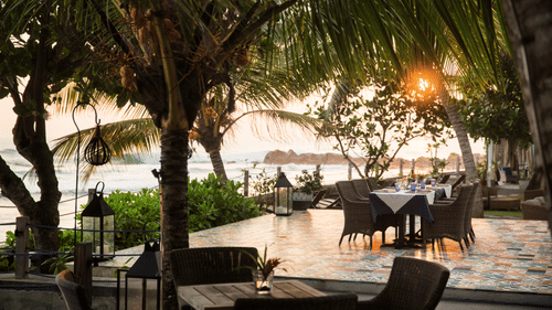 An image of deck surrounded by palm trees with view of ocean where chairs and tables are placed - Owl and the Pussycat Hotel in Galle