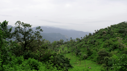  A lush green, forested hillside is visible under a cloudy sky.