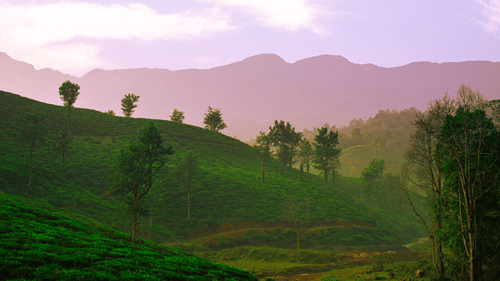 A landscape with green hills, scattered trees, and mountains in the background under a sky with soft clouds.