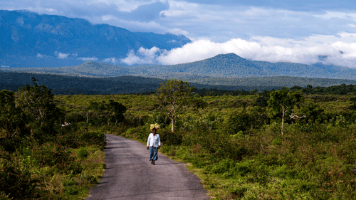 A serene road stretches through lush landscapes under a dramatic sky, with majestic mountains shrouded in mist in the background, as a local walks the path of nature's splendour near The Serai Bandipur.