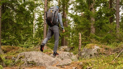 A person walking across rocks in a forest with tall trees.