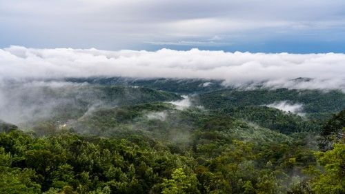 Lush hills enveloped by fog as seen from the resort, The Serai Chikmagalur.
