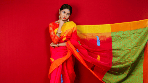 A woman wearing a silk saree and posing for a picture while flaunting the saree.