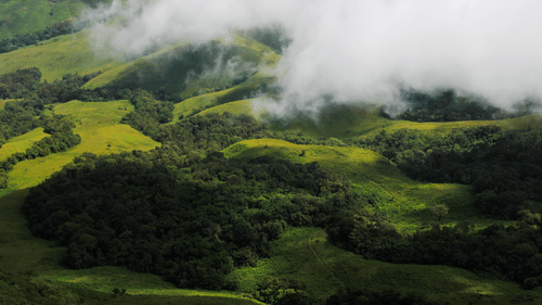 green hilly region with fog during daytime