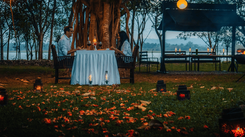 Romantic dinner setup at Serai kabini under a vast banyan Tree