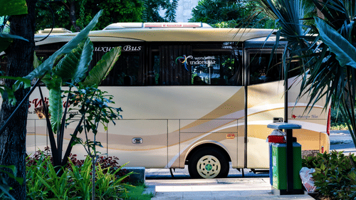 Beige shuttle bus parked outside a tropical property, framed by lush palm trees and greenery.