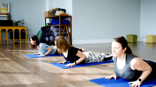 Three women are on blue yoga mats in a studio, performing a cobra pose, with a shelf of rolled mats in the background at YO1 Longevity & Health Resorts.