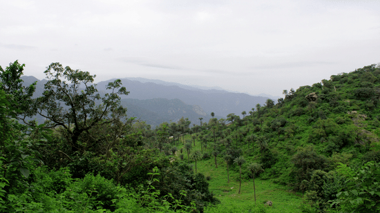  A lush green, forested hillside is visible under a cloudy sky.