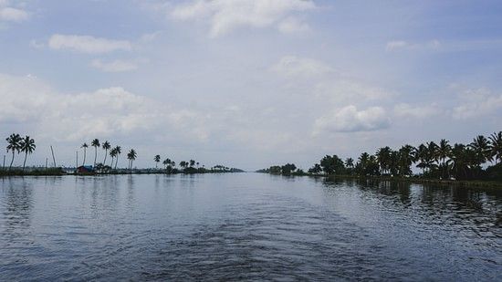 an image showing the trail of a boat moving through backwaters