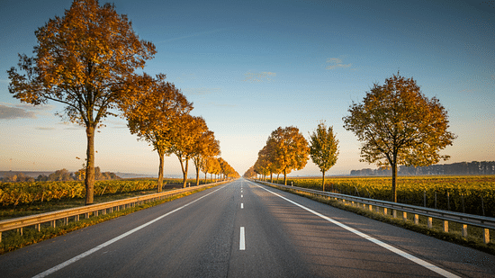 An overview of a road with trees on either side and the evening sky in the background