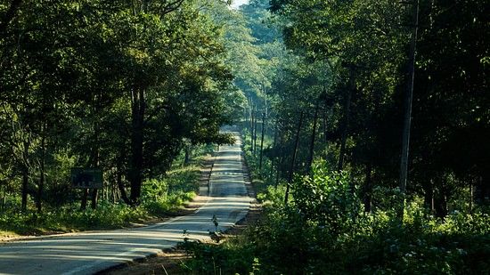 road in kabini