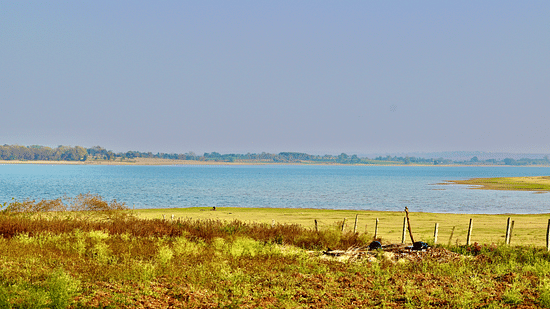 A grass land in front of a river