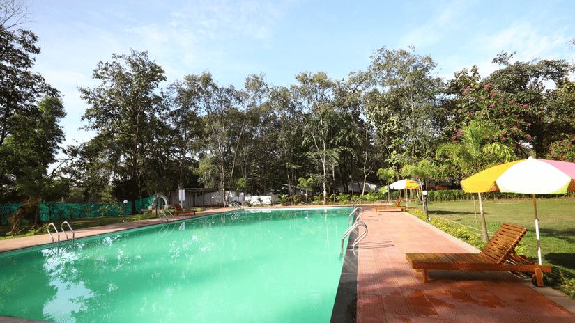 swimming-pool sajan-Refreshing outdoor pool at Nature Trails Sajan, perfect for relaxation and fun.