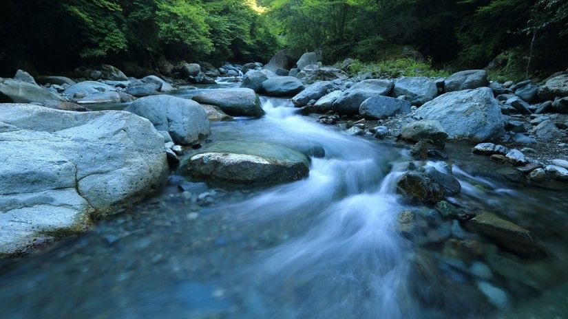 A serene stream of water flowing through a forest
