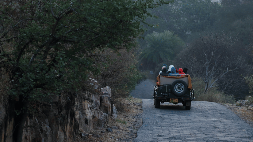 A vehicle with passengers on a narrow paved road surrounded by trees and rocky terrain, moving through a forested area.