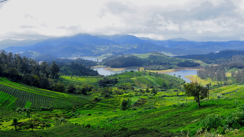An overview of Ooty, one of the top romantic places near Bangalore, with mist covered hills in the distance and greenery all around.