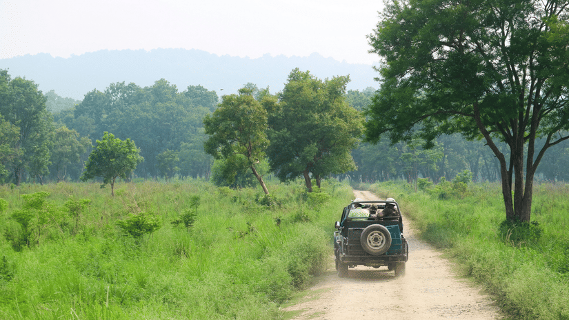 A safari jeep driving down a dirt road through a green grassy landscape with distant trees and hills.