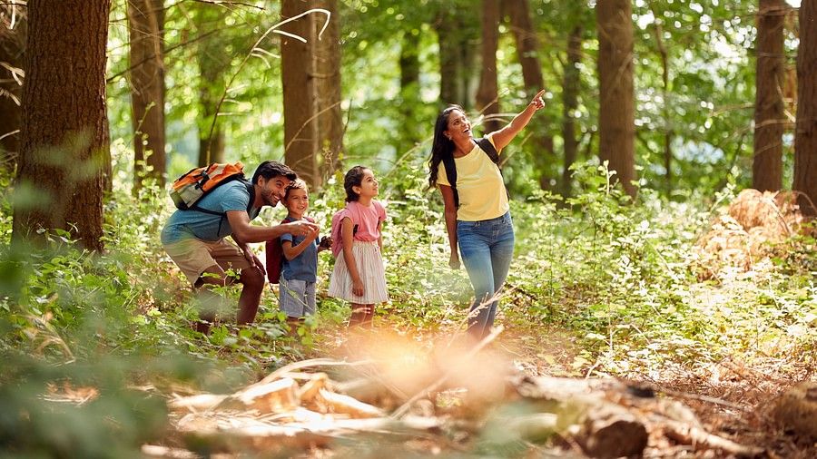  family of four, including two adults and two children, is hiking through a lush, green forest. One adult is pointing out something in the trees to the children, who look excited.