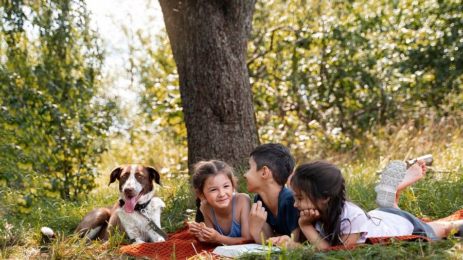 Three children lying on a blanket under a tree, smiling and chatting, with a dog sitting beside them in a grassy outdoor setting.