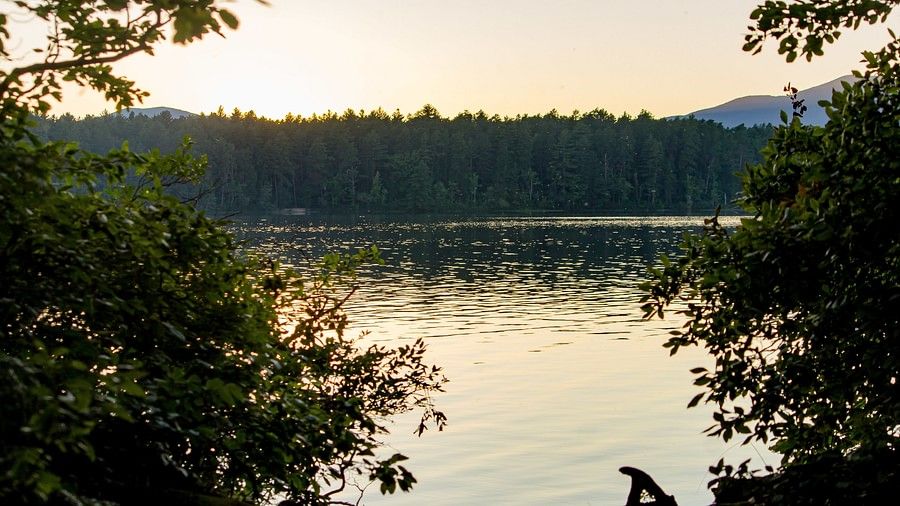 Tranquil lake surrounded by trees at sunset, with still water reflecting the golden sky and forested hills in the background, framed by leafy branches in the foreground.