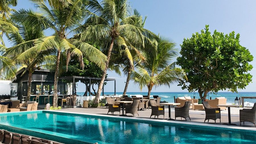 pool and trees with ocean in the background