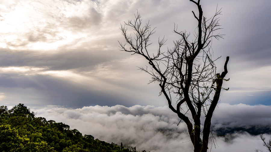 An overview of the mist surrounding the mountains near The Serai Chikmagalur.