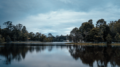 the still waters of Kodai Lake