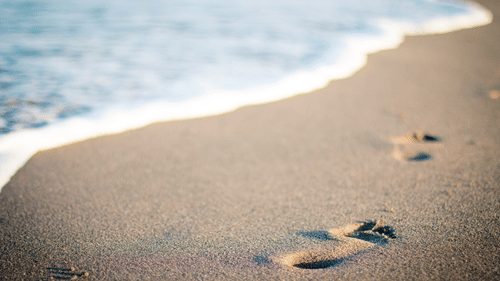 beach,  chariot beach resort sgdgshbr