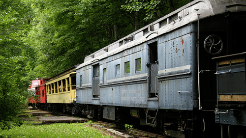 Colourful train amidst lush green forest