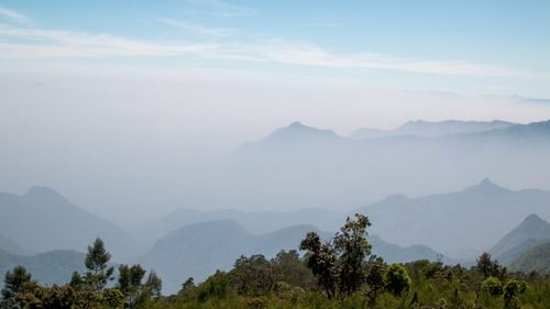 scenic view of the mountain ranges filled with mist cover and blue sky in the background