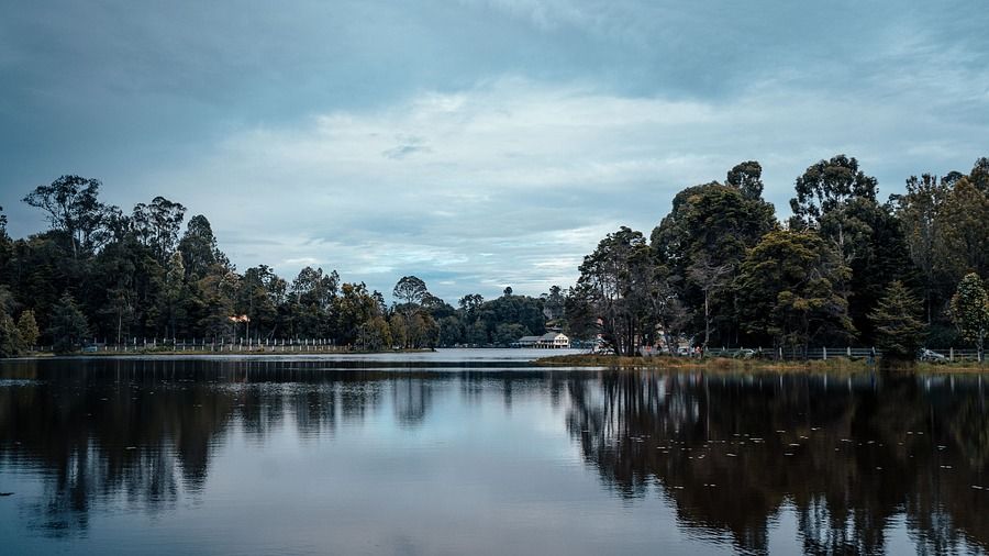 the still waters of Kodai Lake