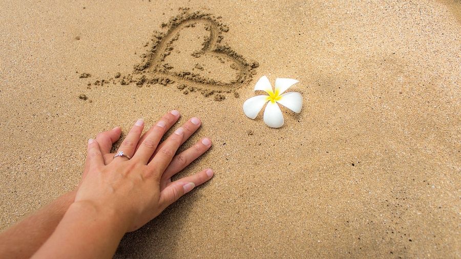 Honeymoon Package at our hotel in Andaman and Nicobar Islands3