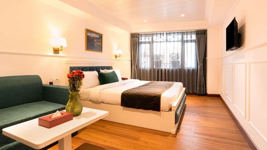 Premium room sofa cum bed