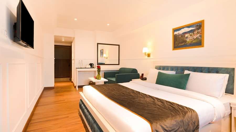 Premium room sofa cum bed