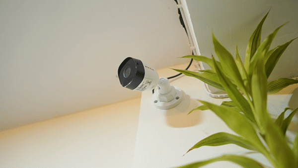 White CP Plus CCTV security camera mounted on a wall corner beside a green plant, with cabling running along the ceiling edge