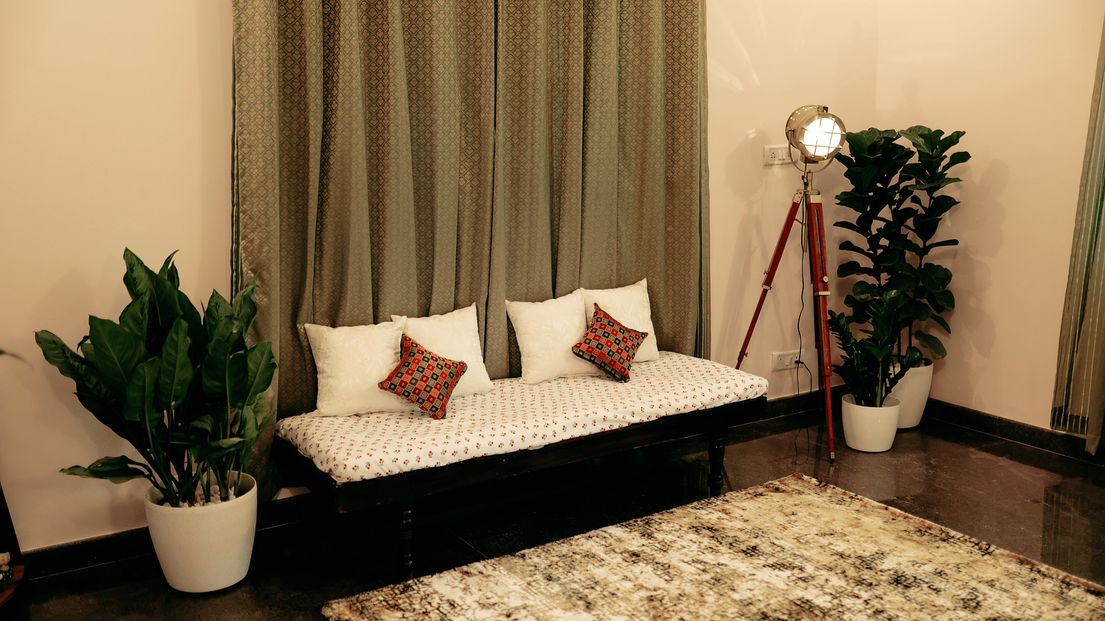 A small sofa with cushions, plants in pots, a standing lamp, and a rug in a room with curtains  | Adhyaya Heritage Reverbed