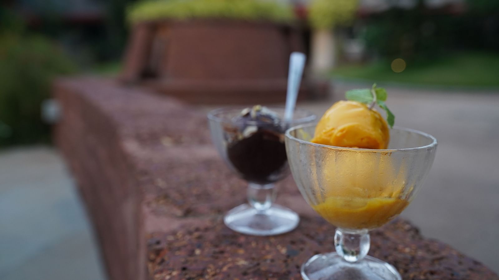 An image of two ice cream bowls served - Argo By Trance, Goa